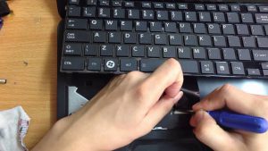 Thay bàn phím đường lý chính thắng